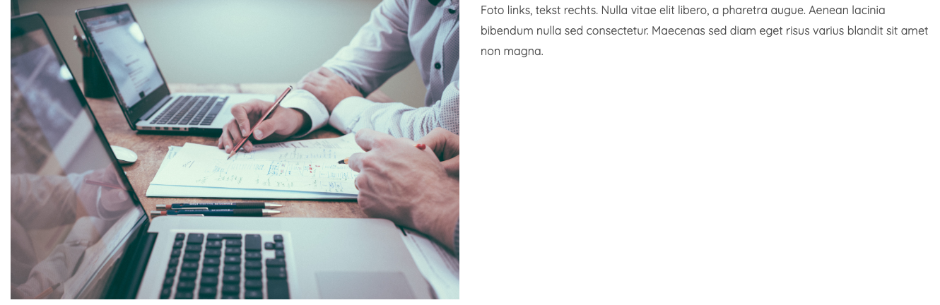 Foto + tekst op de site