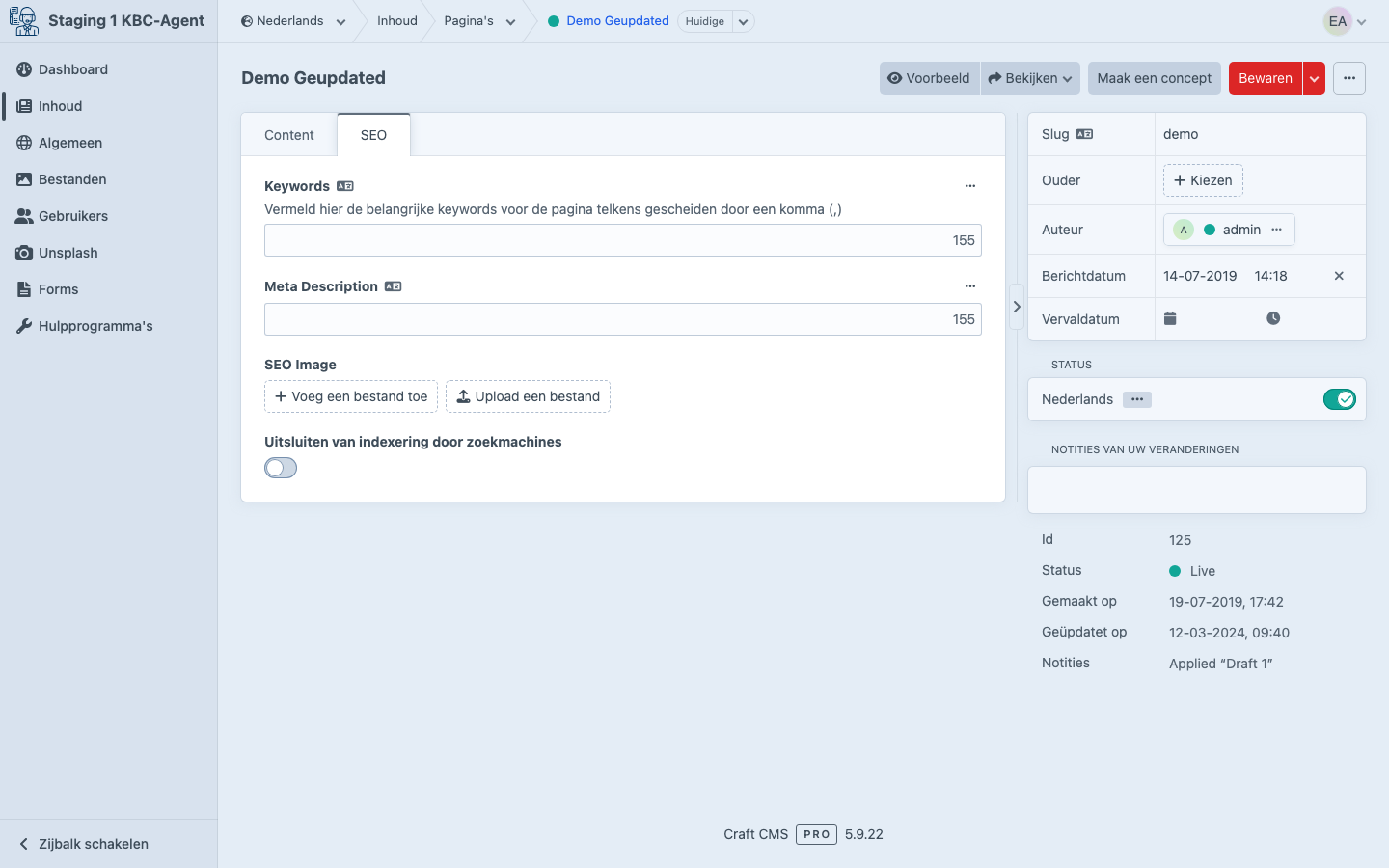 SEO-tab op een entry